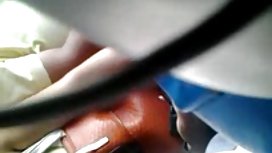 Police punish an annoying neighbor with his tail